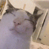 dooooooooooge 的头像