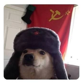 BCaio 的头像