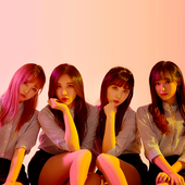 플래쉬
