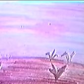 0004548403_10.jpg