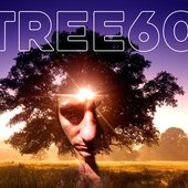 tree60_02.jpg