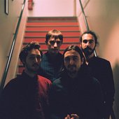 indigo birds.jpg