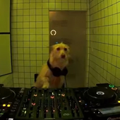 e--j 的头像