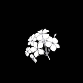valleeo 的头像