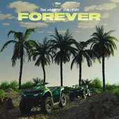 Forever (feat. Shallipopi) - Single