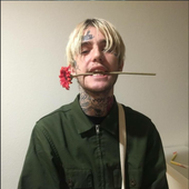 MrFlurble 的头像