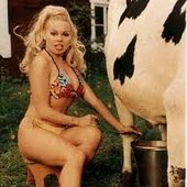Michaela and cow 
