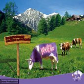 dove le marmotte incartano il cioccolato