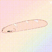 Perclovesyou 的头像