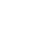 veraorscheoida 的头像