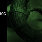korog 2004