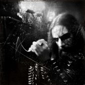 Count Noctulius