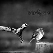 Bad Snake