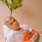 Diego Palomino