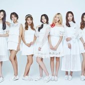 MOMOLAND