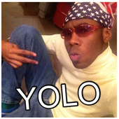 A cool YOLO photo