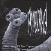 Swarming Of The Tapeworm Scolex