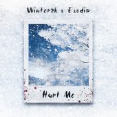 Hurt Me - Single