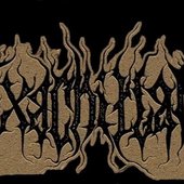 https://nightofthepalemoon.bandcamp.com/album/eagle-quetzal-and-condor-np-xii