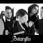 amaryllis