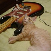 ziggy