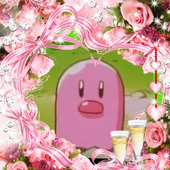 hipochacco 的头像