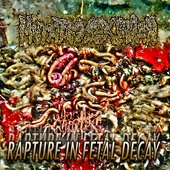 Rapture in Fetal Decay