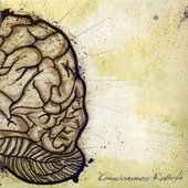 Consciousness Rebirth