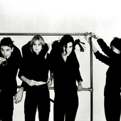 Elastica-6.png