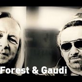 Deep Forest & Gaudi