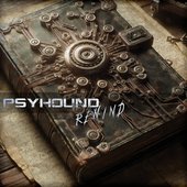 Rewind [Explicit]