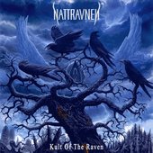 Nattravnen