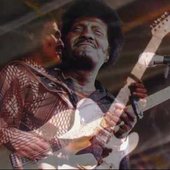 Albert Collins_20.jpg