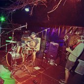 Electric Meadow