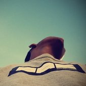 e5b06af0-23f3-4fd8-a2e6-832a7d4e1c8e.jpg