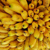 Awatar dla lubie_banany
