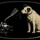 Avatar for mo24