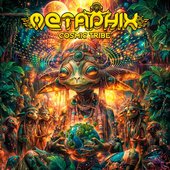 Cosmic Tribe - Single