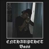 Enhaupthet