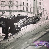 The  TCR skateboarding in europe