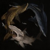 Deep Dive (3Am at Isabelles) [Explicit]