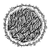 458655649_1214222779716229_4068314631832545928_n.jpg