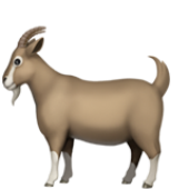 Avatar for edivad14