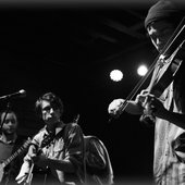 Honey Locust Live