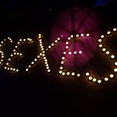 sexes