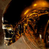Avatar for ADXenomorph