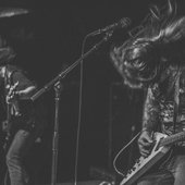 Crypt Rot