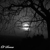 Trails of Sorrow