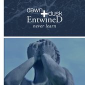 Never Learn