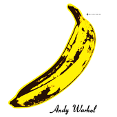 THE VELVET UNDERGROUND & NICO (2160x2160) 4K Original